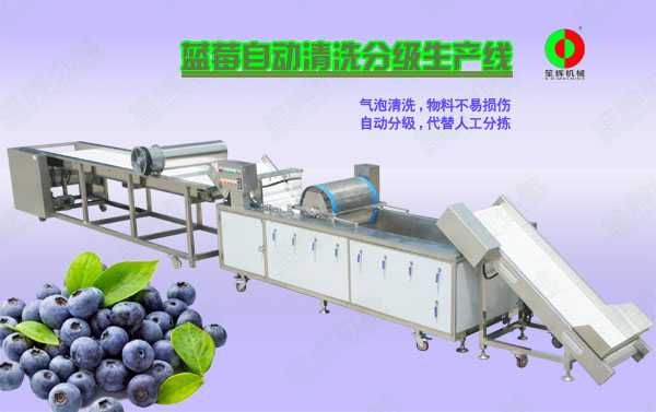 高陵蓝莓/蔬果全自动清洗分级生产线